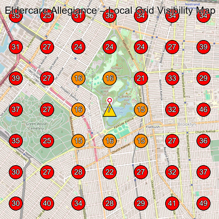 Eldercare Allegiance GeoGrid visibility map for Home Health Care Service in Brooklyn